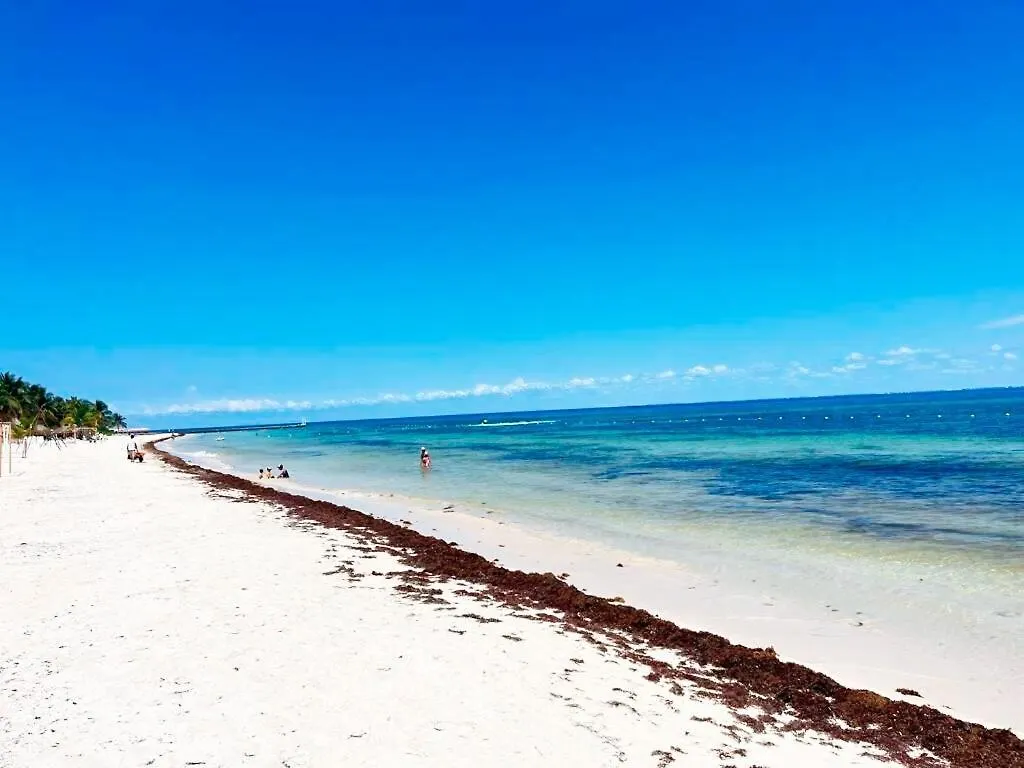 Beachside Tranquility Condo Cozumel