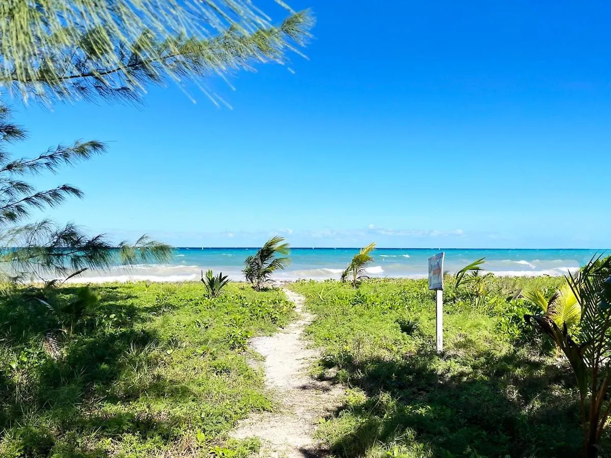 Beachside Tranquility Condo Cozumel