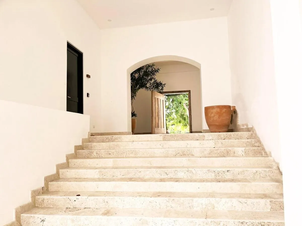 Beachside Tranquility Condo Cozumel Mexico